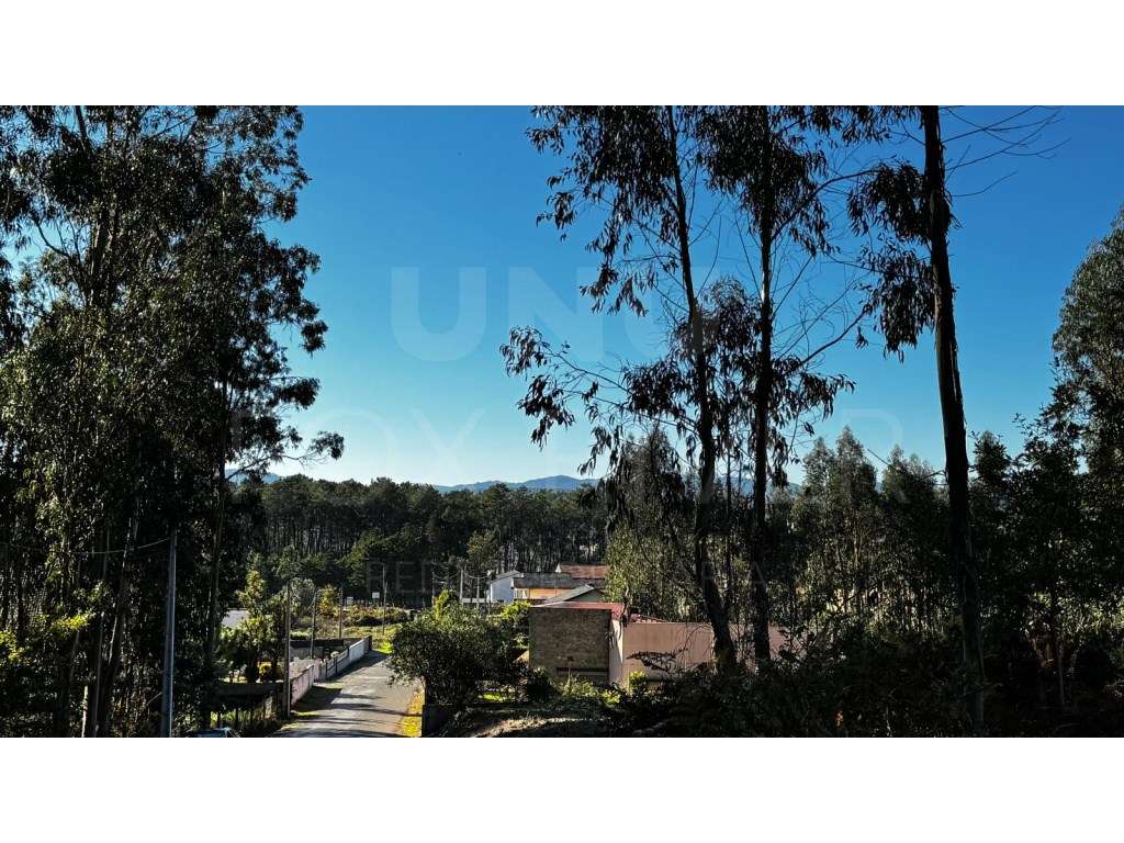 Terreno para construção - Gandra, Valença - Grande imagem: 5/7