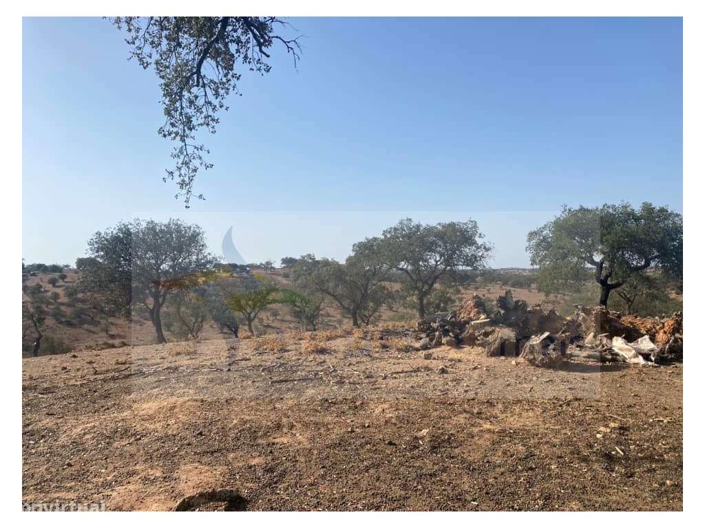 Propriedade de 35 ha - com Monte em Ruínas em Serpa-9