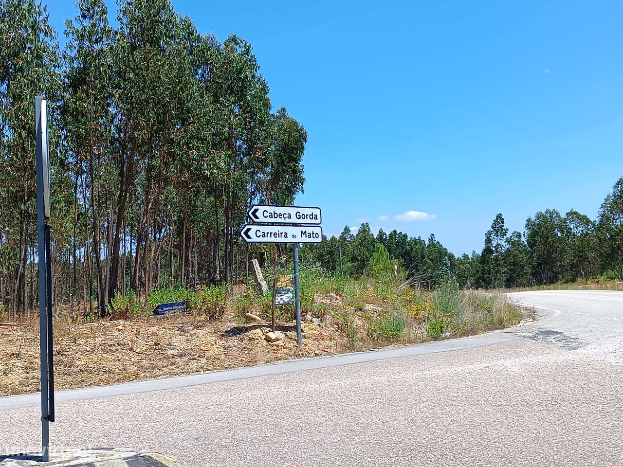 Abrantes,  Cabeça Gorda - Terrenos com Ruína – Moradia para Reconstrui-25