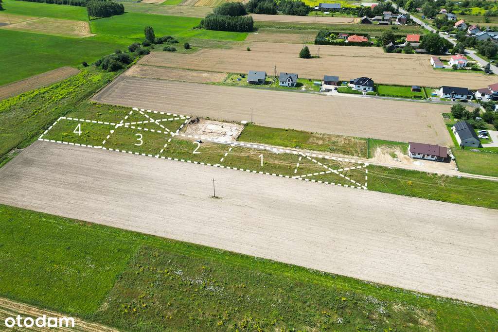 256/9020/OGS - Pełny obrazek: 1/12