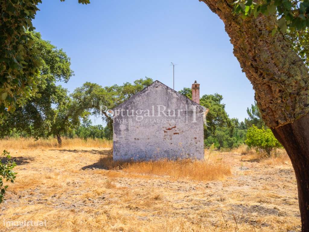 Quinta de 20ha com projeto para Turismo Rural a 1h de Lisboa-26