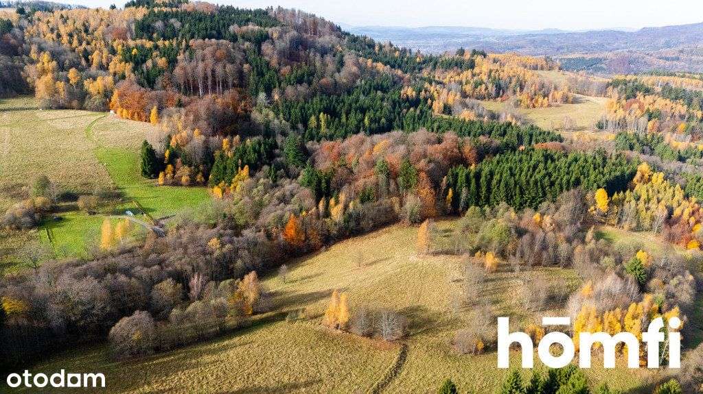 Działki w otoczeniu ciszy i spokoju - Pełny obrazek: 4/17