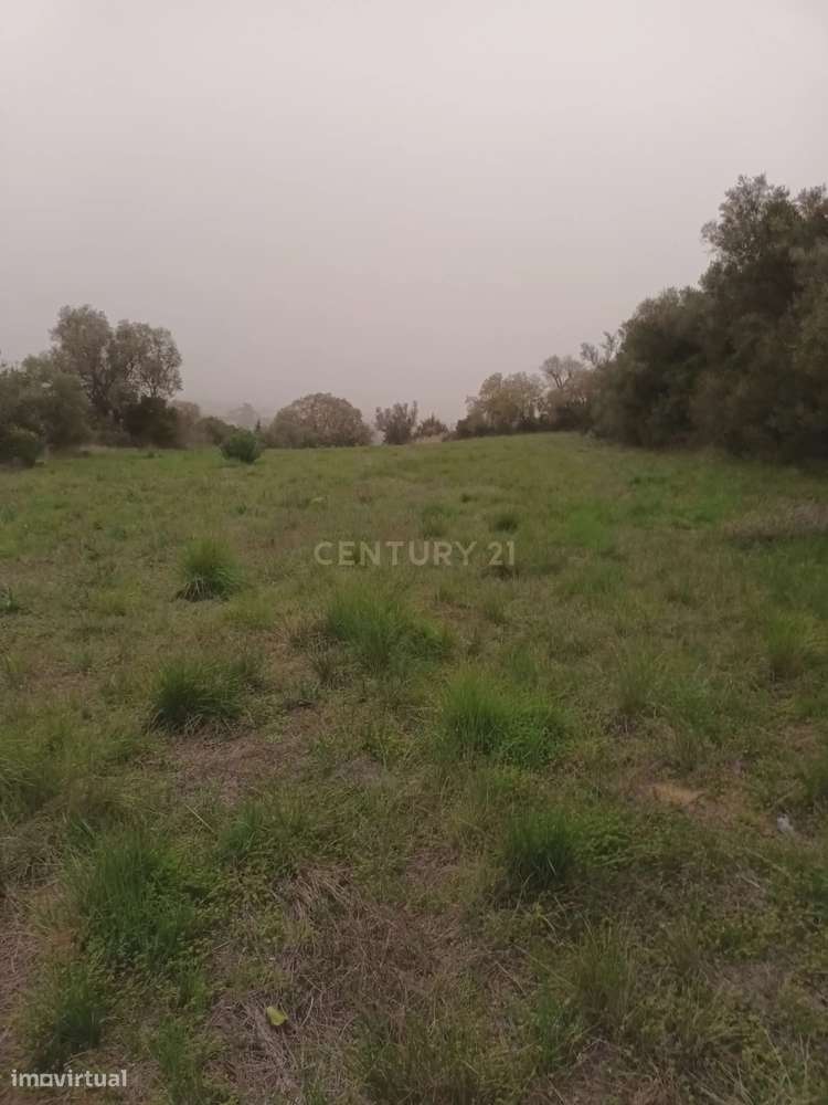 Terreno Rústico com Vista Deslumbrante sobre a Serra da Arrábida — Qui - Grande imagem: 4/31