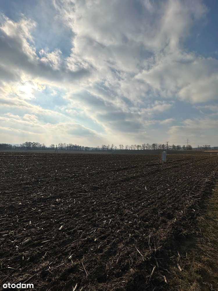 Natura blisko Krakowa – działka budowlana 54 ary, Karniowice - Pełny obrazek: 5/10