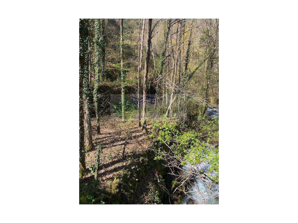 TERRENO NA MARGEM DO RIO - Grande imagem: 4/14