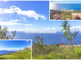 Terreno com 5.000m2 - Prazeres - Calheta