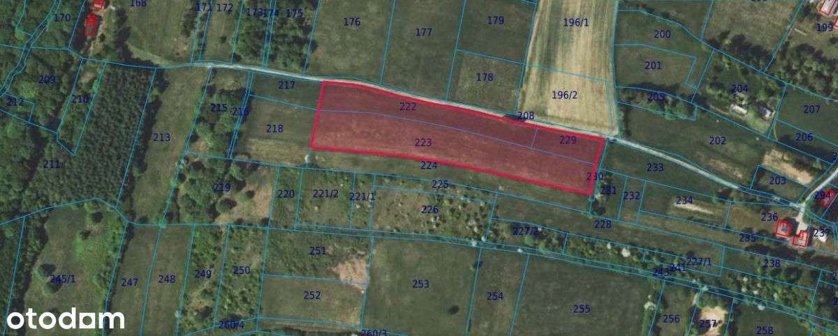 Zręcin - 1,123ha z warunkami zabudowy - Pełny obrazek: 5/5