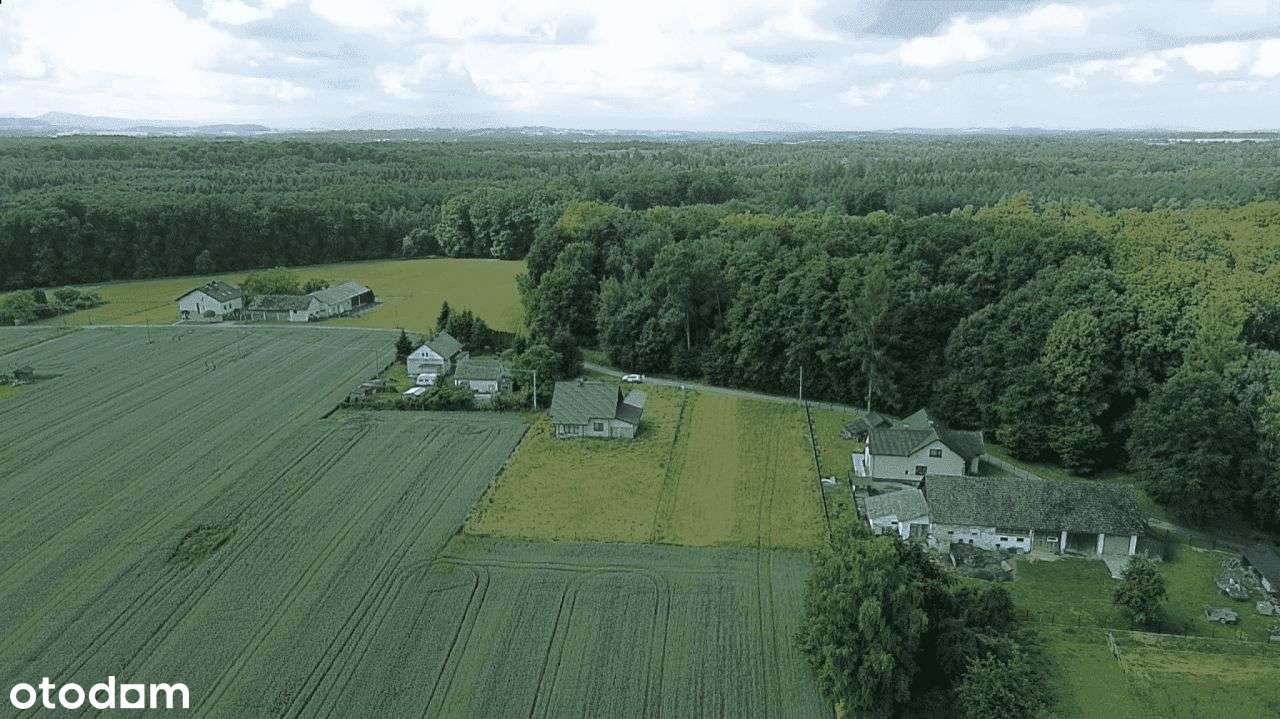 Działka budowlana na skraju lasu- cisza i spokój - Pełny obrazek: 4/10