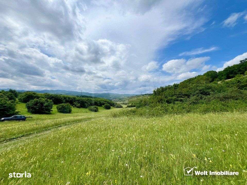 Oportunitate investitie, teren cu panorama pentru cabane - Imagine principală: 1/7