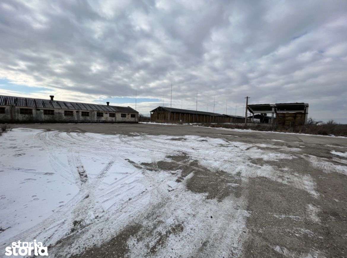 Teren intravilan/industrial cu hale si utilitati, DN 13 - Imagine principală: 4/5