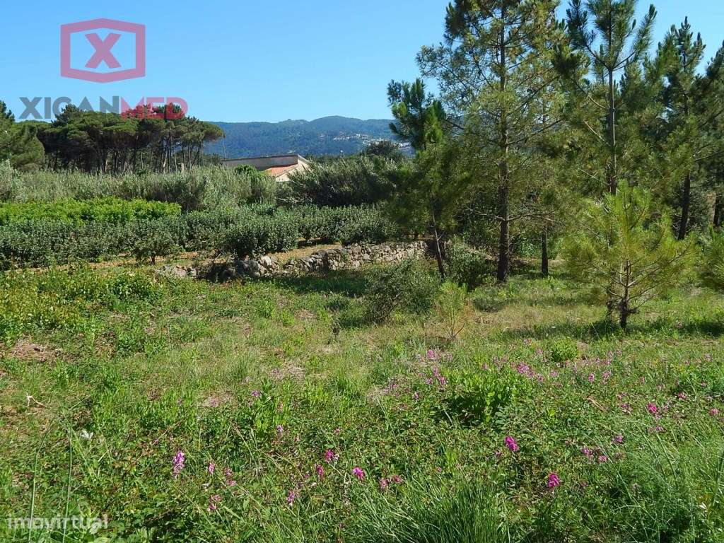 Colares - Grande imagem: 4/16