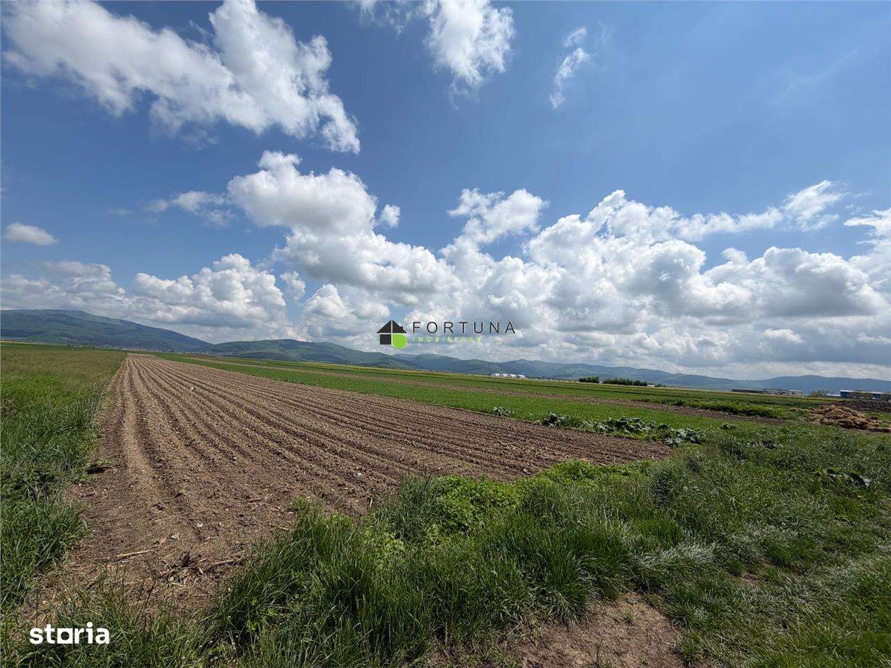 Teren extravilan 10.000 mp - Ieșire Prejmer spre Cărpini5-2