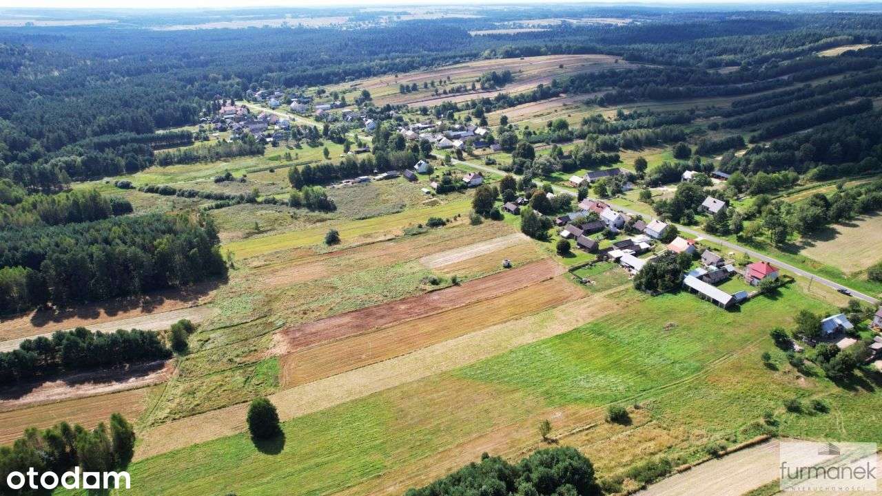 Działka budowlana 0,69 ha | Roztocze - Pełny obrazek: 5/18