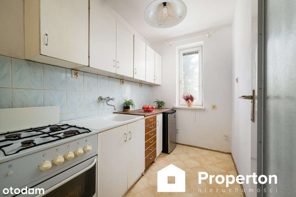 24,2 m² z oddzielną kuchnią | 1 piętro | piwnica - Pełny obrazek: 5/13