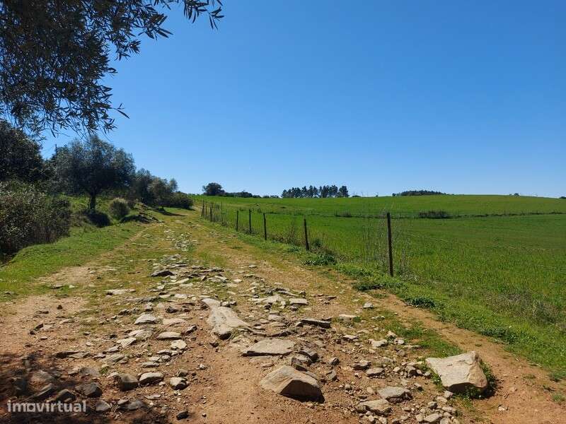 Venda Judicial Terreno Rústico Prado Castro Vicente Mogadouro - Grande imagem: 5/14