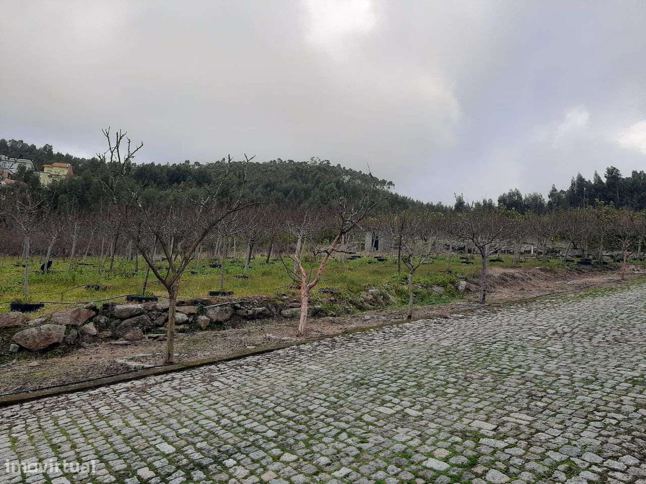 Vende Terreno Alfena Valongo - Grande imagem: 3/34