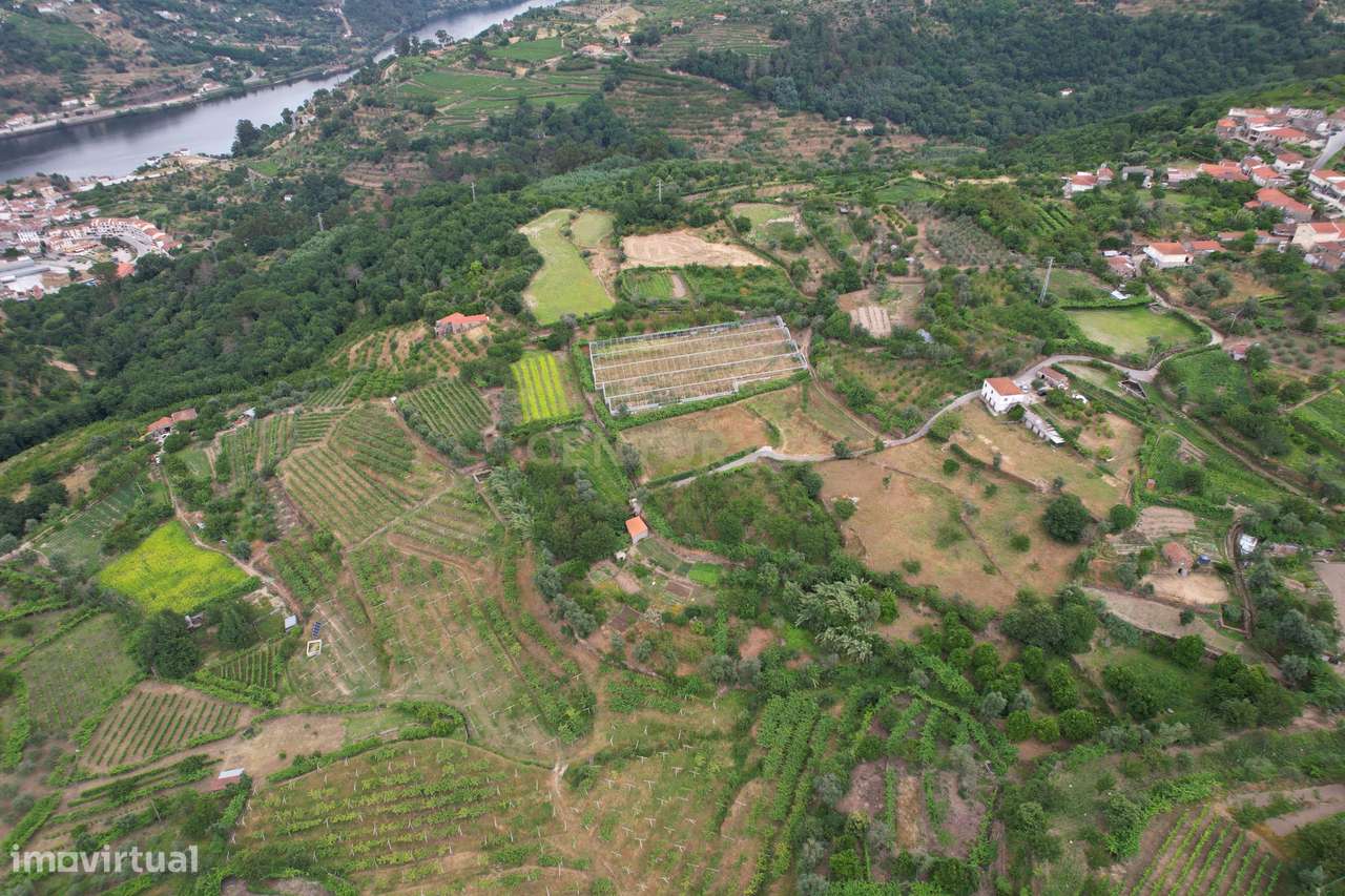 Quinta em Miomães, Resende | Um refúgio rural com cerca de 4 hectares-2