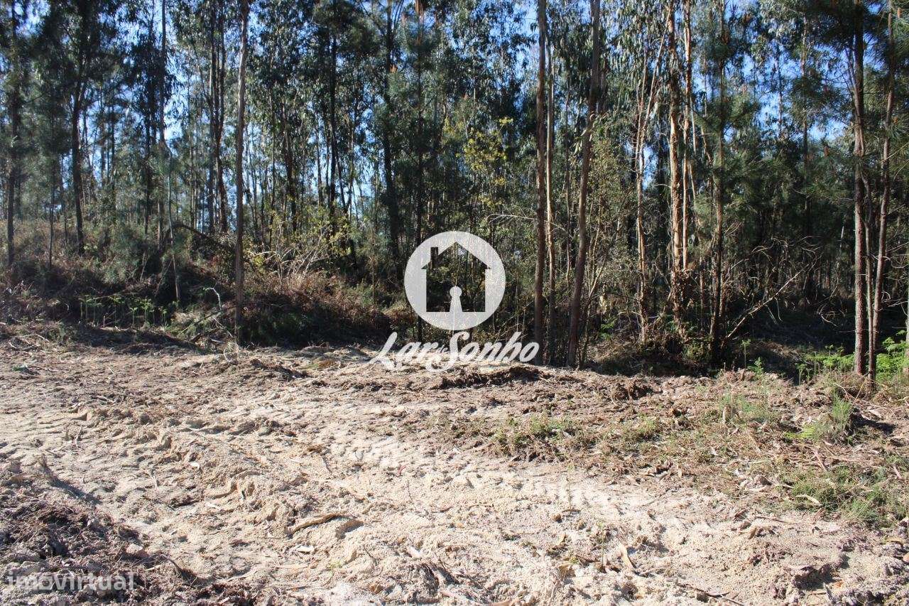 Terreno para construção - Grande imagem: 2/23