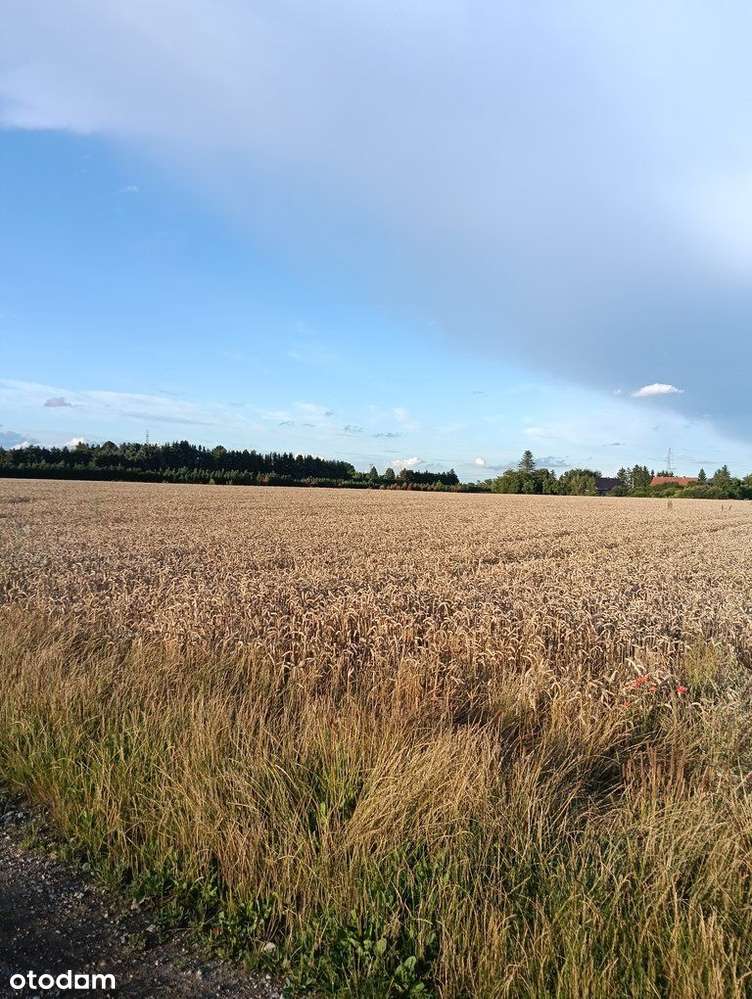 Atrakcyjna Działka W Kłodawie!-3