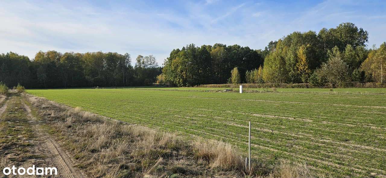 Działki budowlane 1200-2000 m2 - Pełny obrazek: 5/5