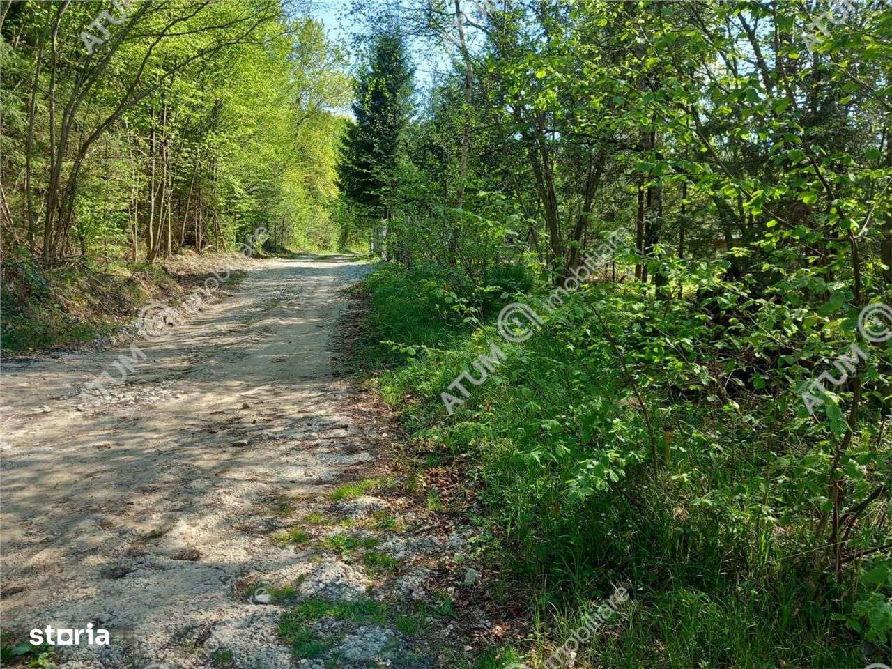 Teren intravilan 1300 mp de vanzare pe Valea Avrigului in zona Mlaci - Imagine principală: 1/3