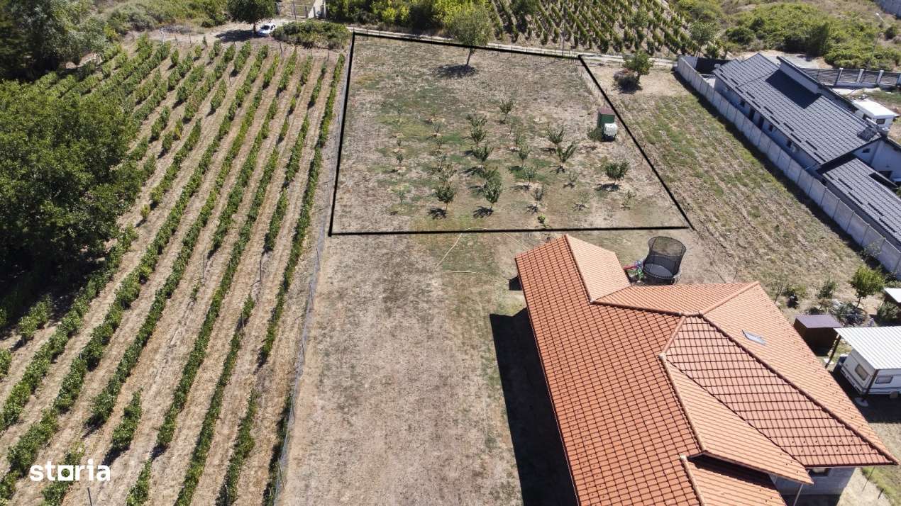 Oportunitate dezvoltare rezidentiala – teren 2000 mp intravilan-2