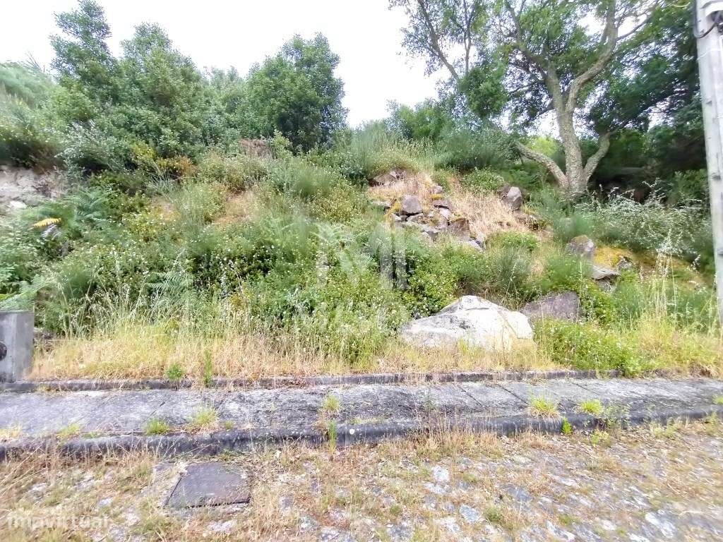 Lotes para venda em Âncora - Grande imagem: 4/11