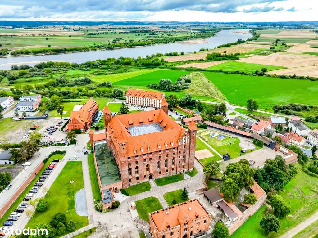 Jeśli w twoich żyłach płynie królewska krew ...-19