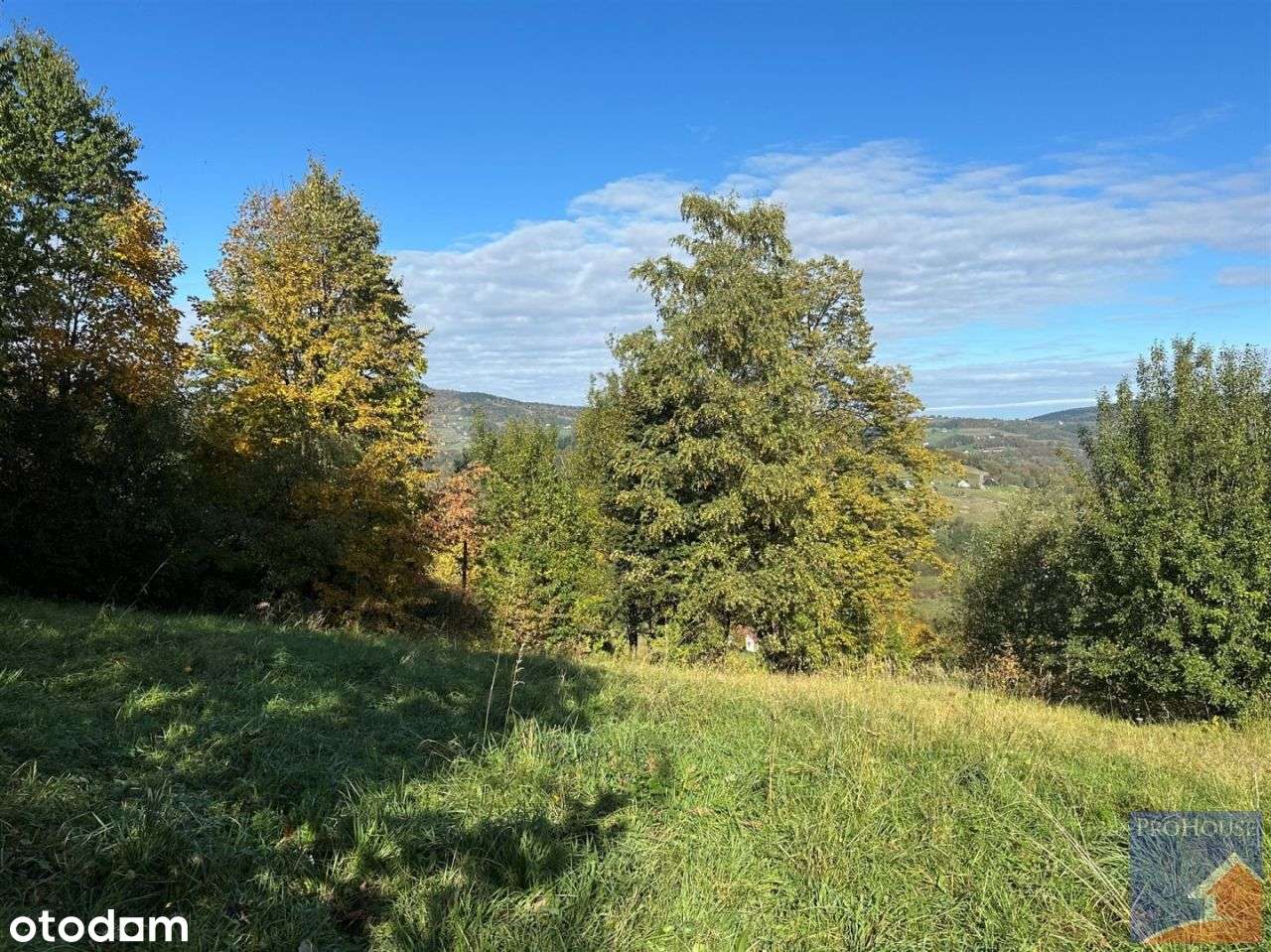 Działka, 1 244 m², Laskowa-11