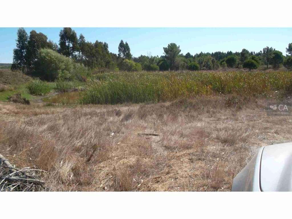 TERRENO (PROPRIEDADE)-CURRAIS E JOÃO FRIO DE BAIXO - Grande imagem: 4/12