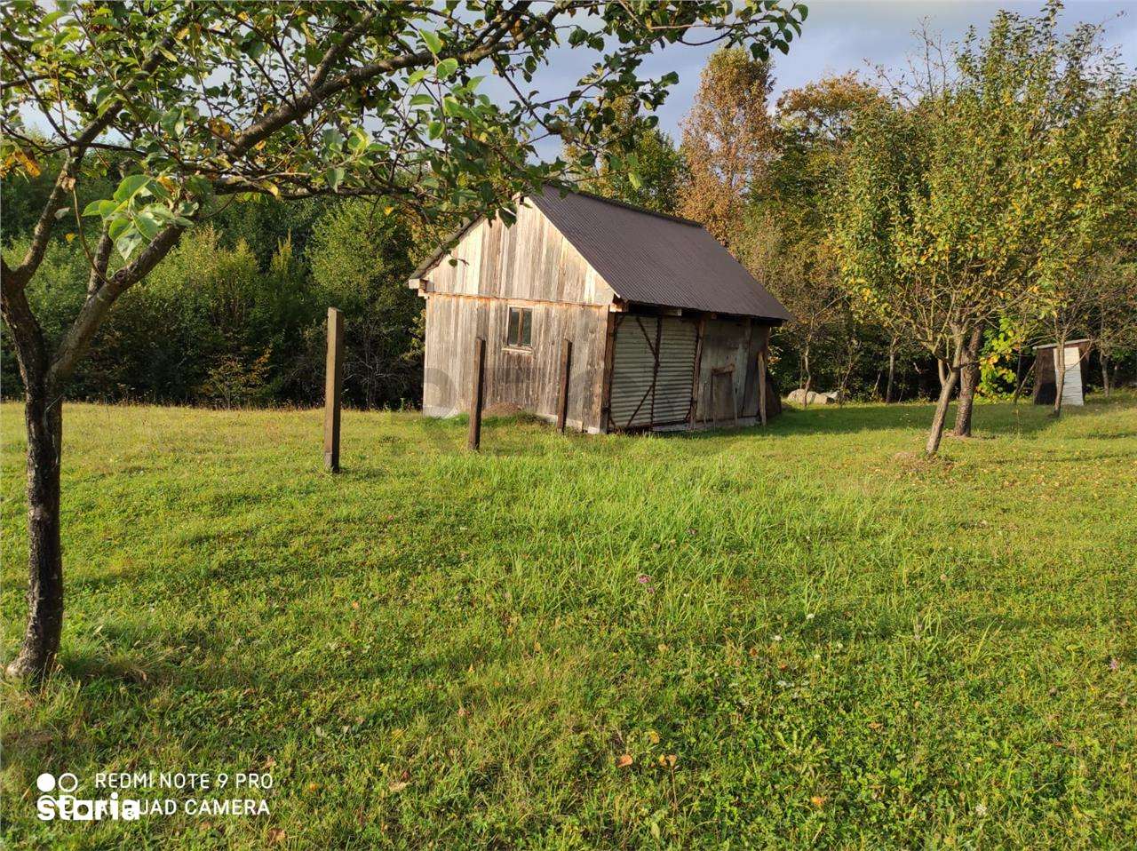RECO Casa de vacanta in Borod - Imagine principală: 4/10