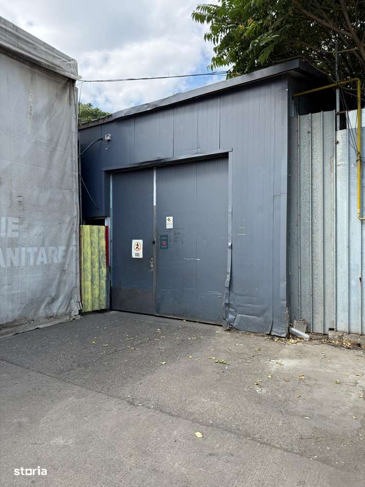 Hale 35mp/50 mp/ 100 mp/ 360 mp - Imagine principală: 2/2