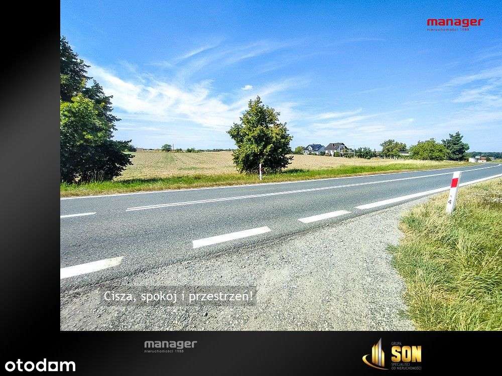 Działka, 5 788 m², Tworków - Pełny obrazek: 5/6