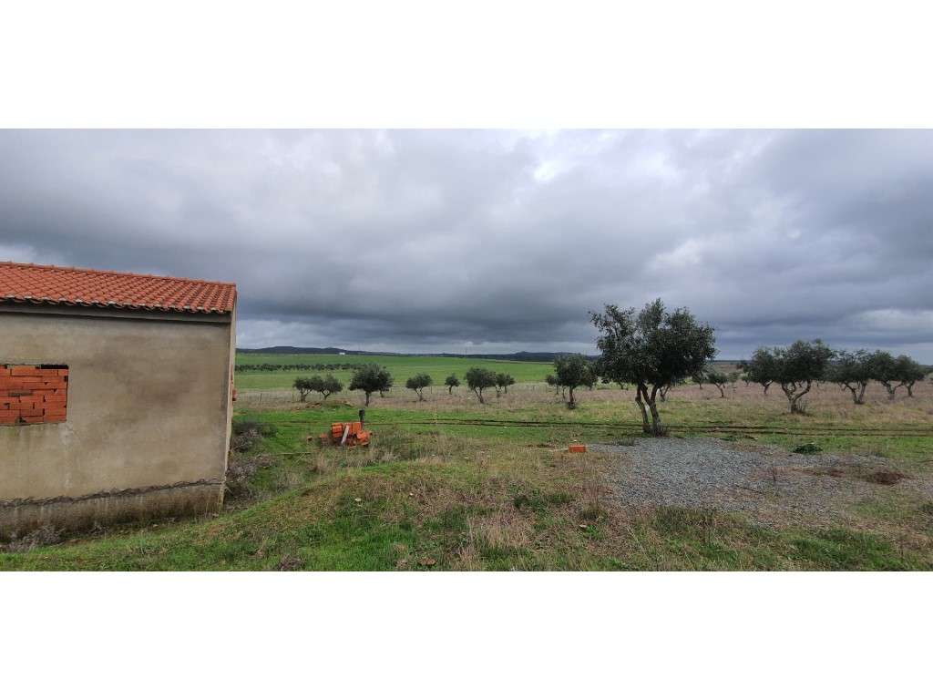 Terreno rústico com 22.250 m2 em Alter do Chão - Grande imagem: 4/16