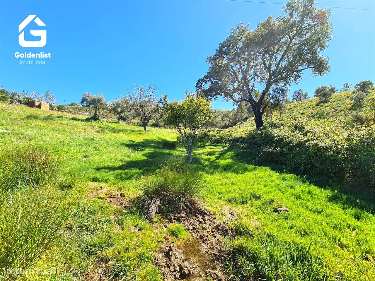 Terreno  Venda em Cebolais de Cima e Retaxo,Castelo Branco-11
