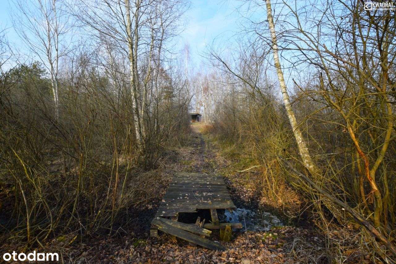 Działka nad jeziorem Łukcze - 30 ar - Pełny obrazek: 4/12