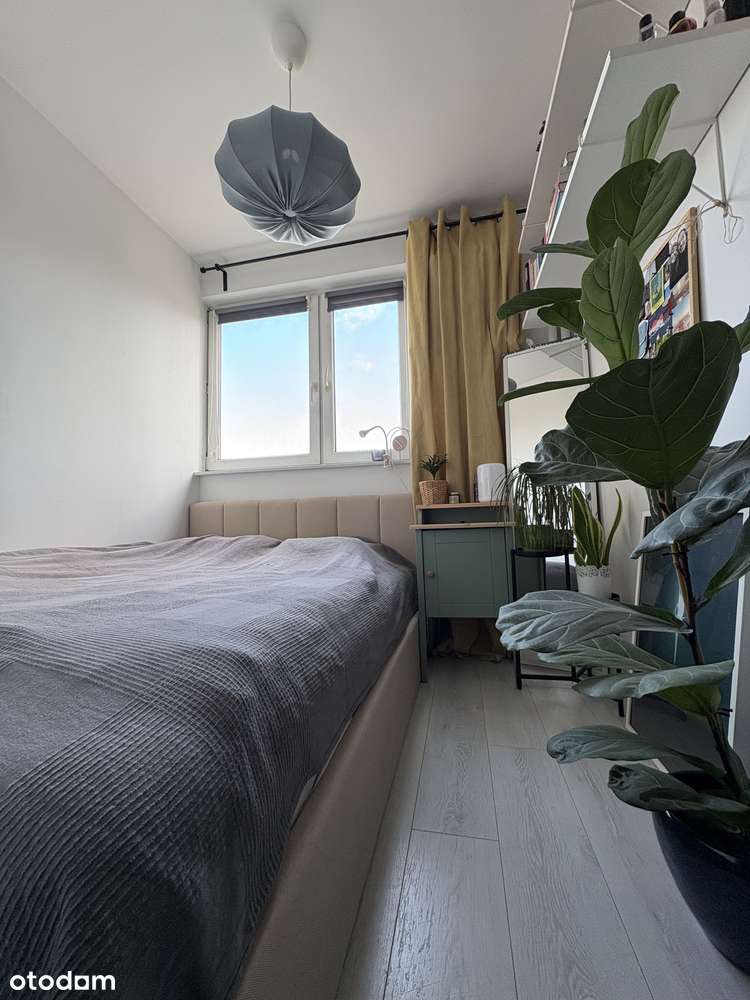 2 pokoje, 37 m kw, Czerniakowska 139-9