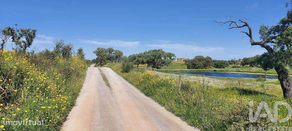 Propriedade T5 em Ourique de 792 m2 - Grande imagem: 2/40