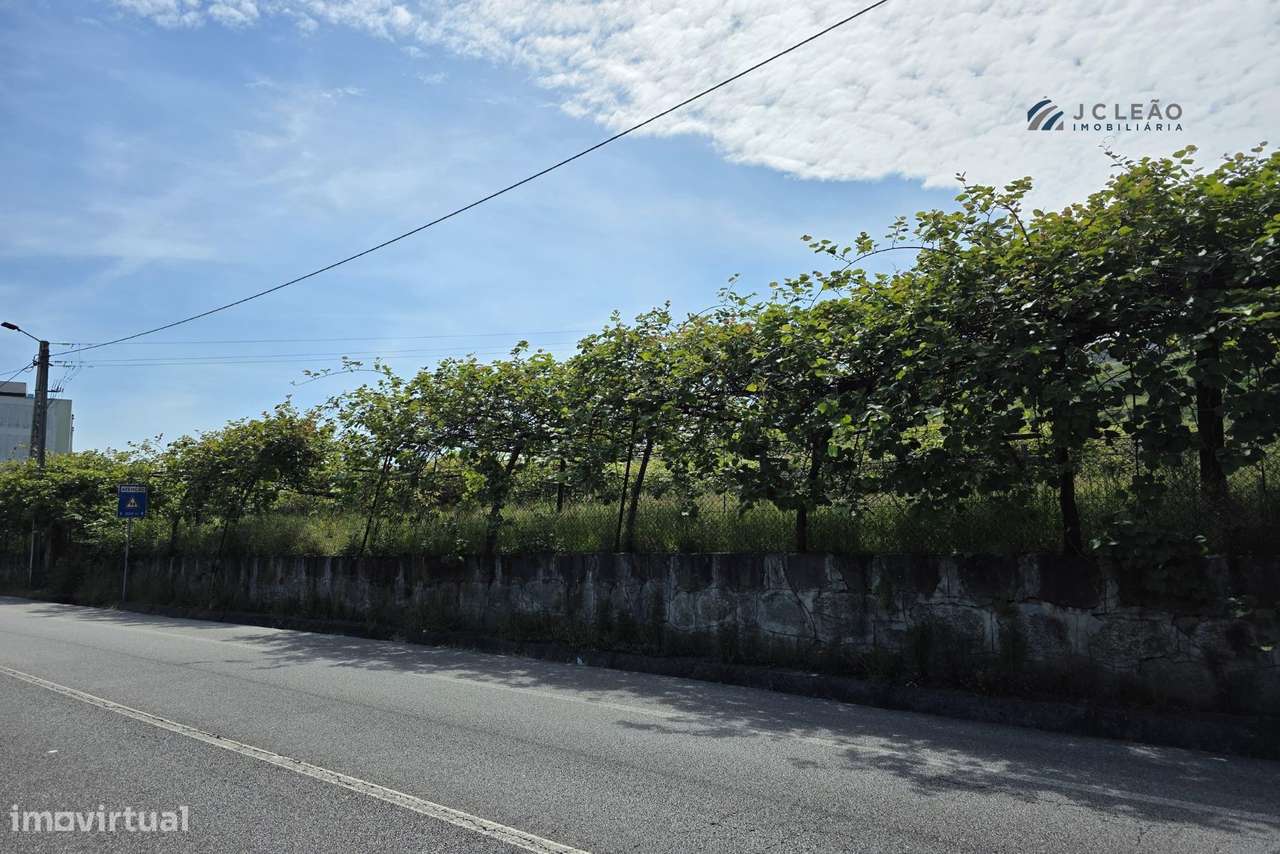 Terreno Rustico c/ 7969m2, para construção no Centro de Baltar - Grande imagem: 4/20