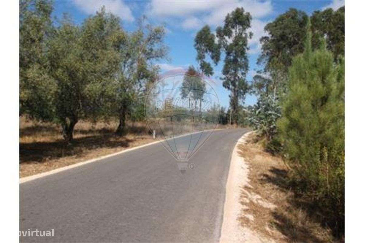 Terreno T0 para venda - Grande imagem: 4/4