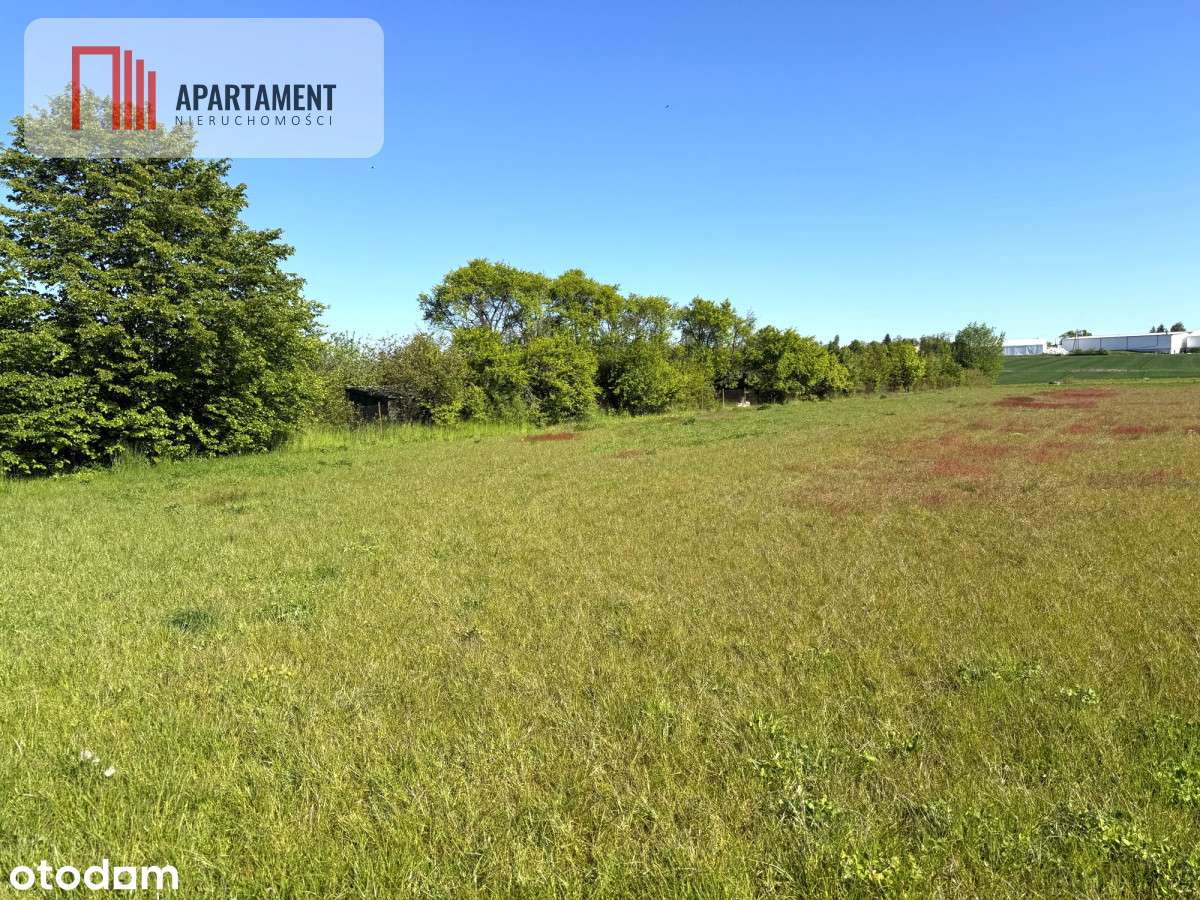 Działka budowlana w świetnej lokalizacji. - Pełny obrazek: 4/6