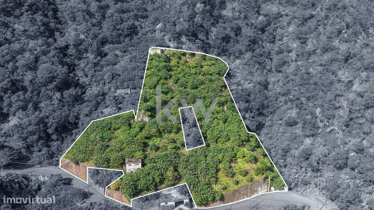 Terreno com 7340 m2, Localizado no Concelho de Santana, Freguesia do F - Grande imagem: 2/16