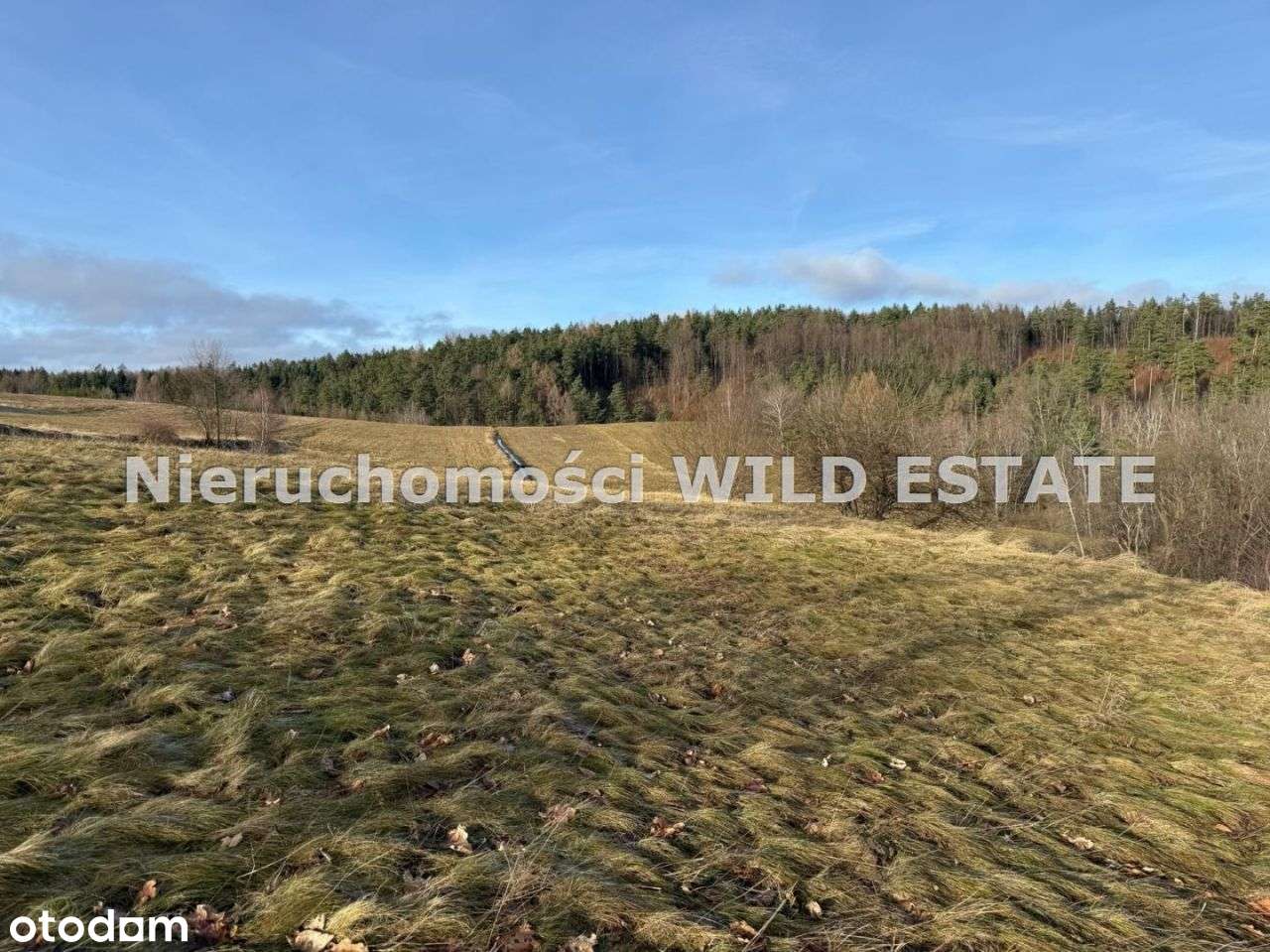 Działka, 3 402 m², Berezka-8