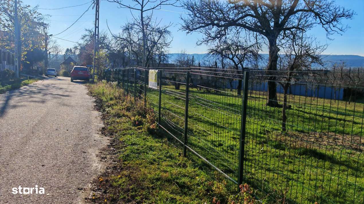 Teren de vanzare – 2.550 mp, pozitie excelenta, Stalpeni (zona centr - Imagine principală: 5/11