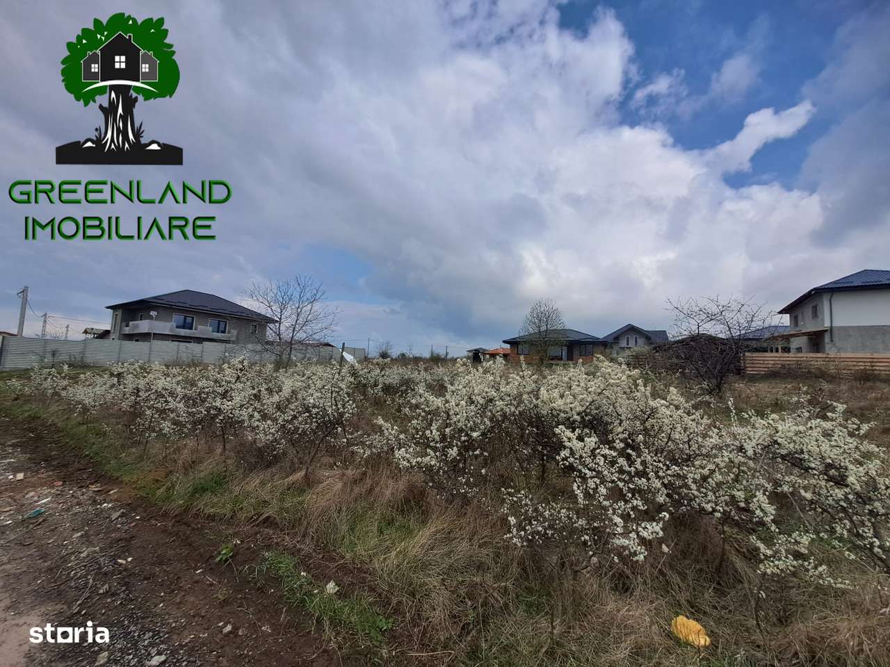 Teren intravilan, 500 mp, Plan Drept , Utilitati, zona Bucium Visan - Imagine principală: 2/2