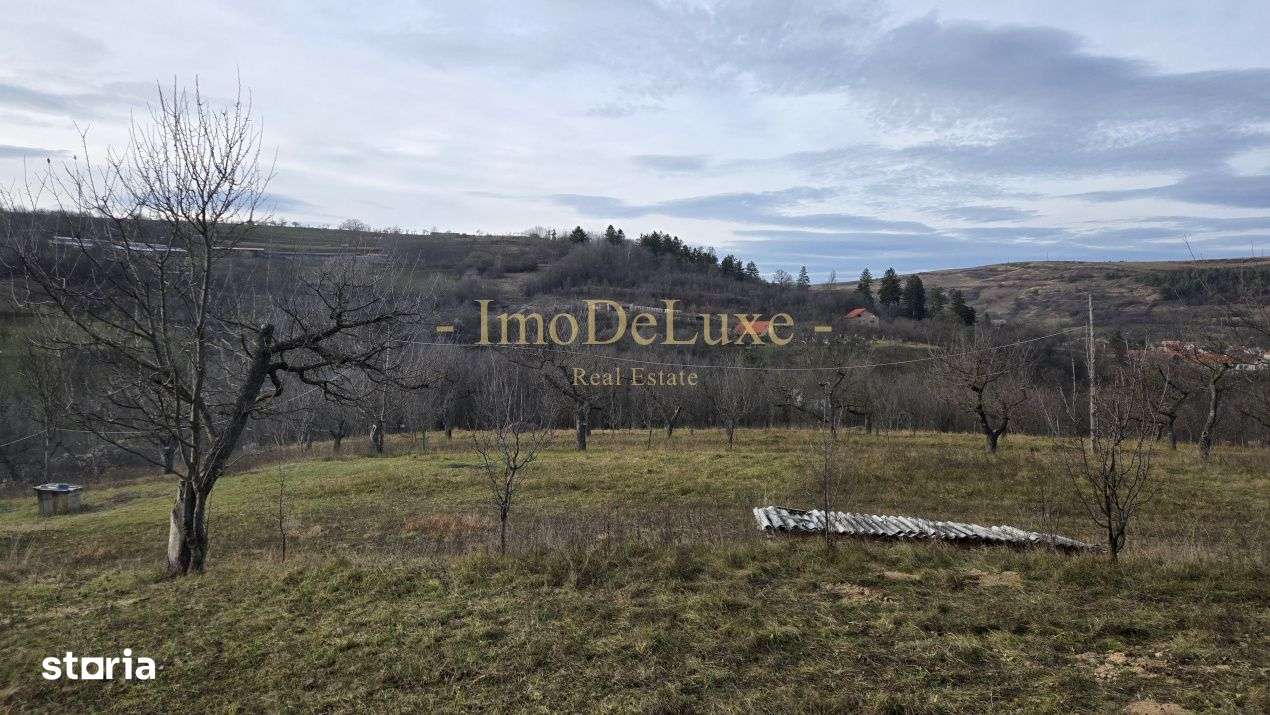 Teren intravilan, 6000mp, priveliste, comuna Baciu, zona Suceagu - Imagine principală: 5/7
