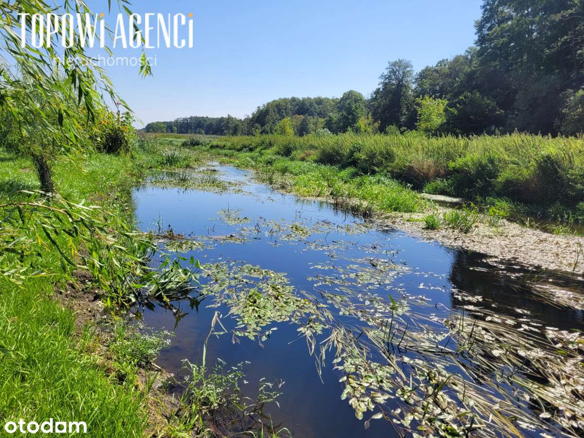 Działka nad rzeką,Park Kampinoski warunki zabudowy-10