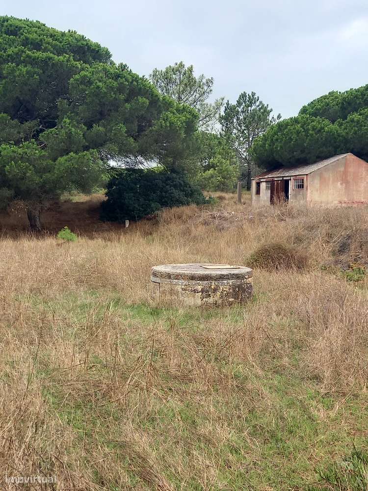 Terreno com 59.120,00 m2 Qtª Robalo - Capuchos - jtº Costa Caparica-3