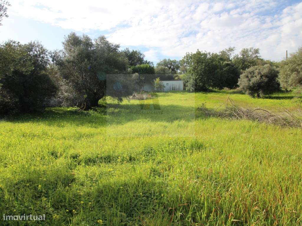 Moradia T3 independente com 8.490 m² de Terreno-14