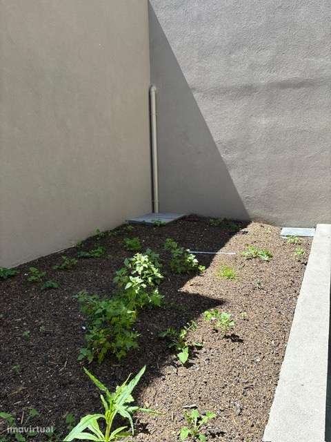 Arrendamento de apartamento t1 na Rua França Júnior - Matosinhos - Grande imagem: 4/16